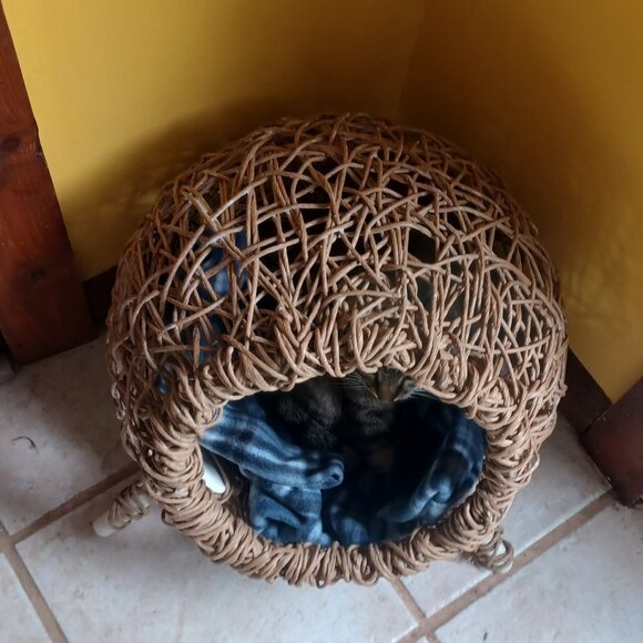 Handmade FiberRush Cat/Dog Bed - Picture 3 of 16